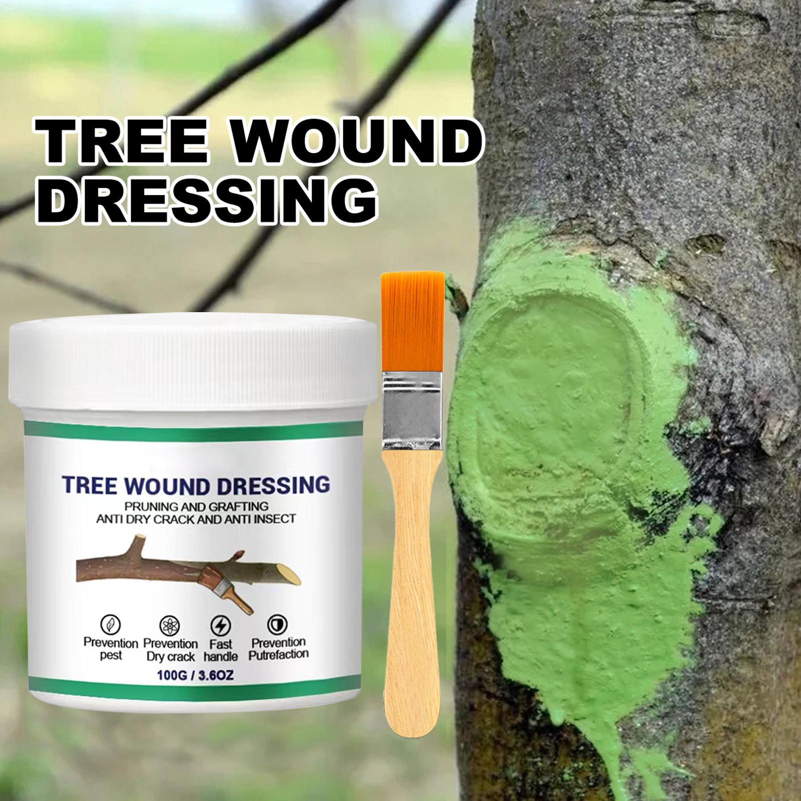 Gardening Tools For Women - Tree Grafting Paste Tree Wound Paste