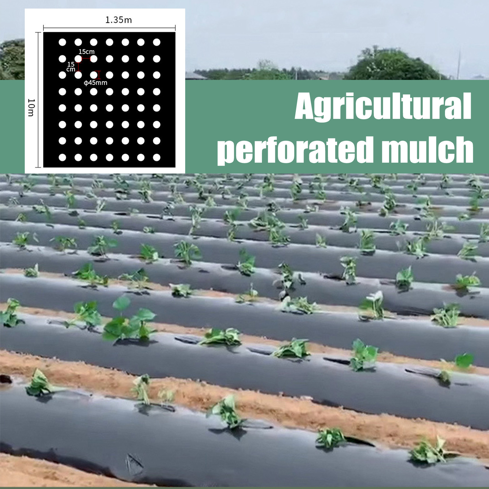 PE Perforated Mulch Film Farm  - đánh giá và giá Gardening Tools For Weeds
