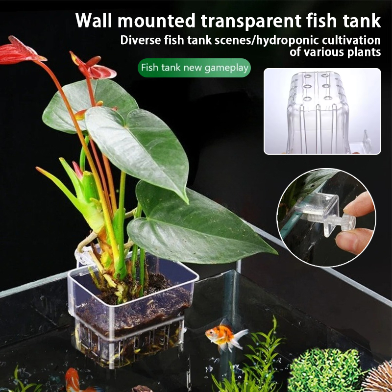 Aquarium Hanging Planter Cups  - đánh giá và giá Hanging Planter Basket