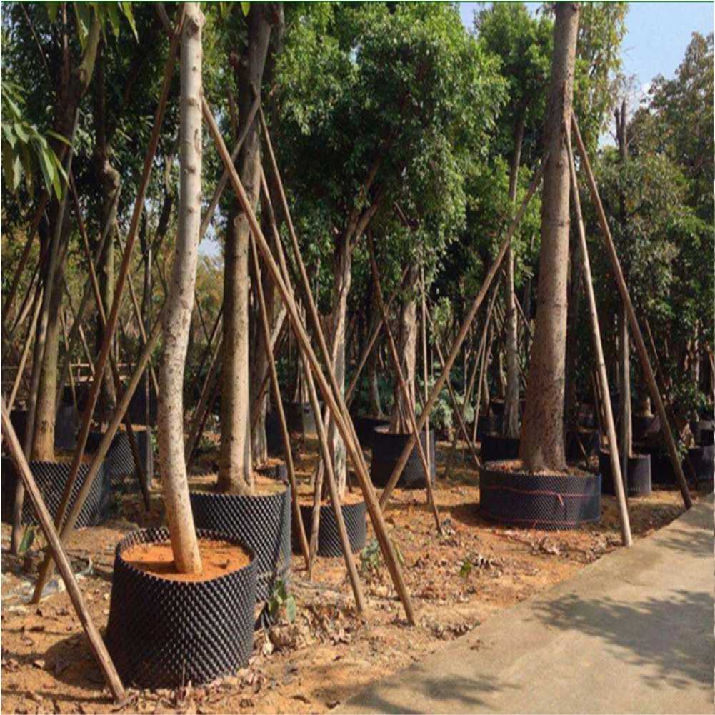 Grow Container Garden Tree Bon - đánh giá và giá Gardening Tools