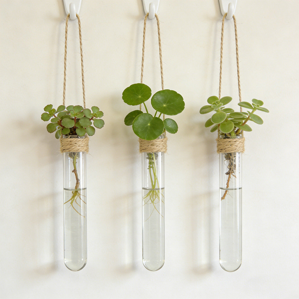 Hydroponic Flower Vase Wall-Mo - đánh giá và giá Hanging Planter Basket