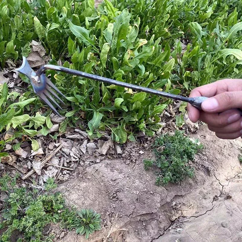 Garden Weeders Grass Hand Weed - đánh giá và giá Gardening Tools For Weeds