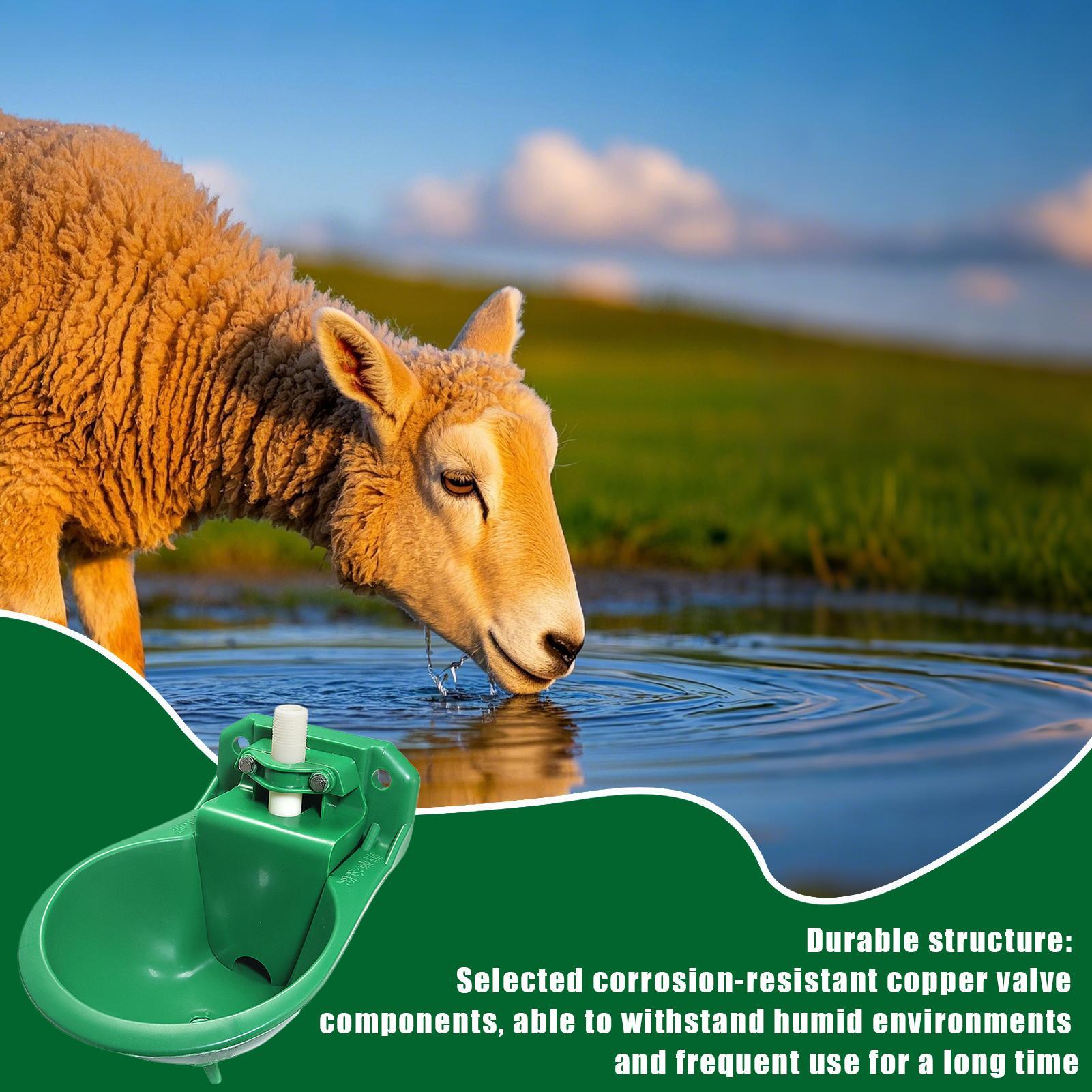 Horse Water Drinker Bowl With  - đánh giá và giá Gardening Tools For Women