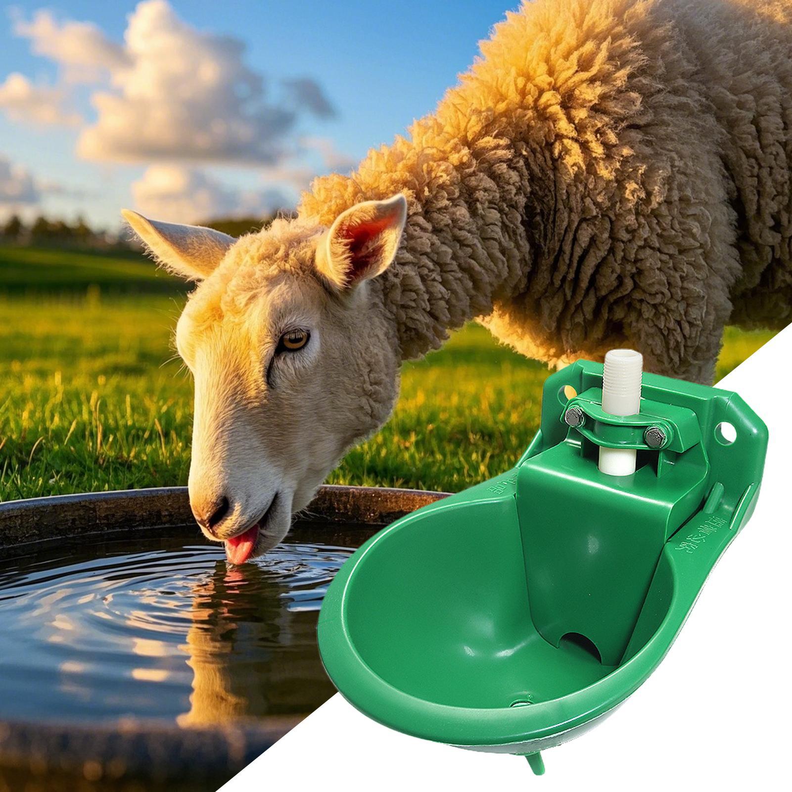Horse Water Drinker Bowl With  - đánh giá và giá Gardening Tools For Women