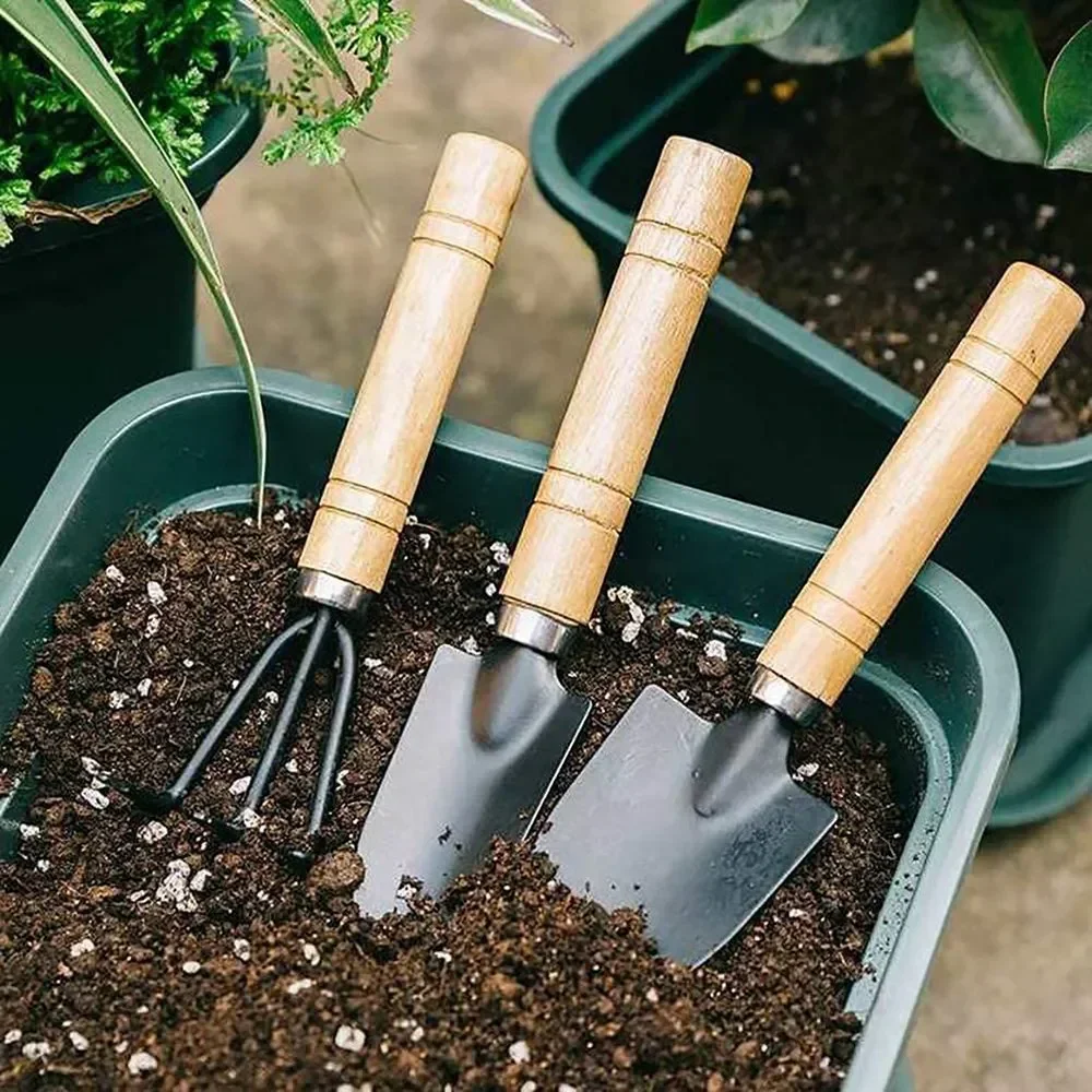 3Pcs/Set Mini Garden Tool Set  - đánh giá và giá Gardening Tools For Weeds