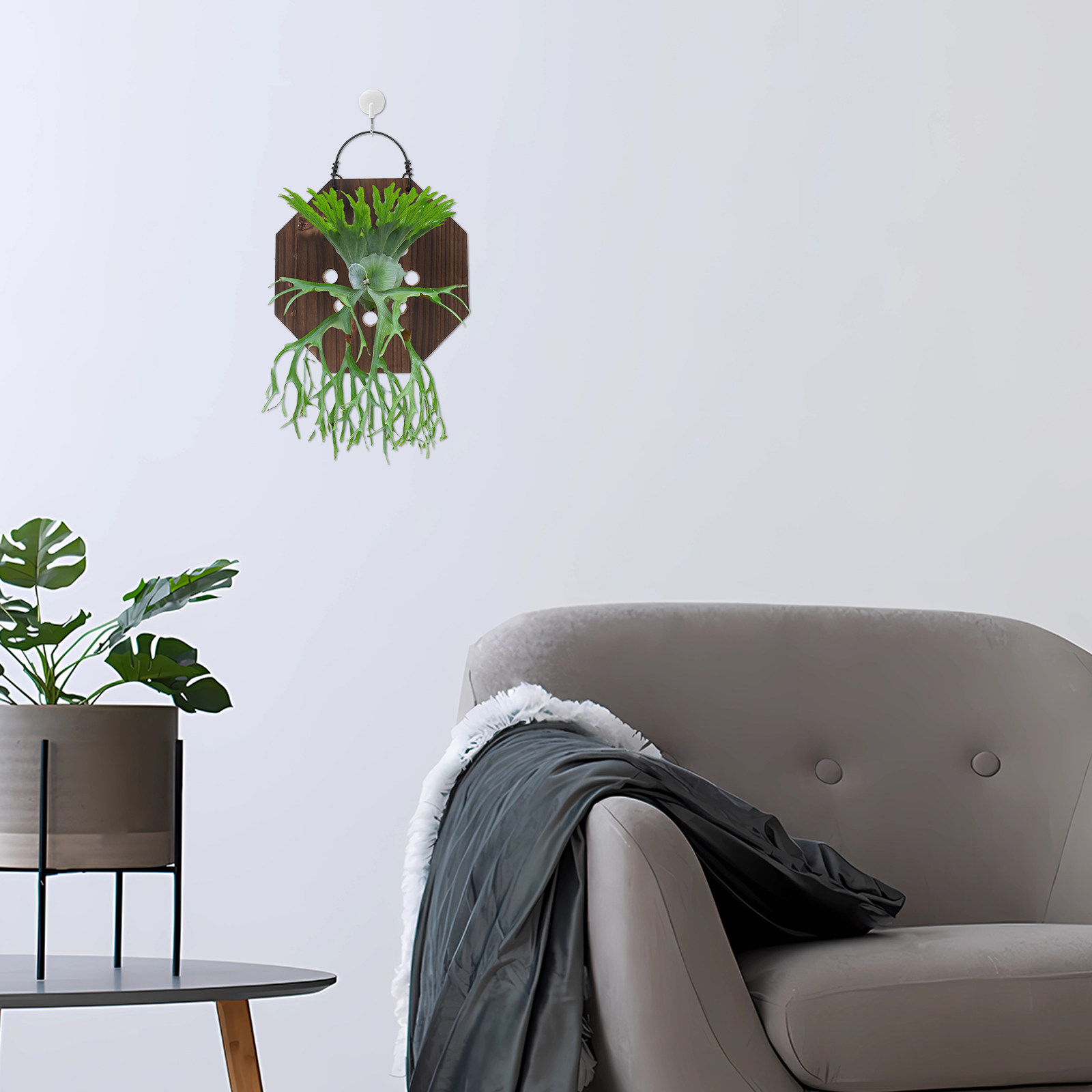 Fern Mounting Board Wooden Wal - đánh giá và giá Vertical Wall Planter