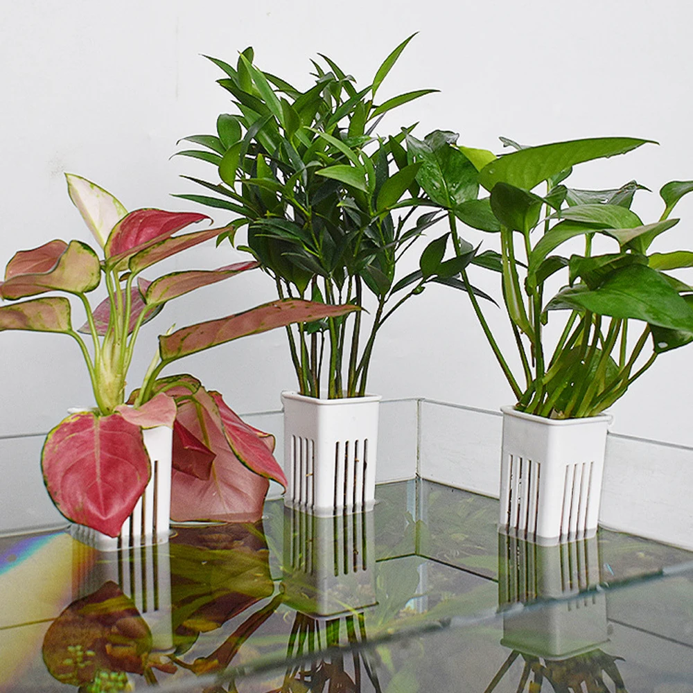 1 PC Aquarium Hydroponic Plant - đánh giá và giá Hanging Planter Basket