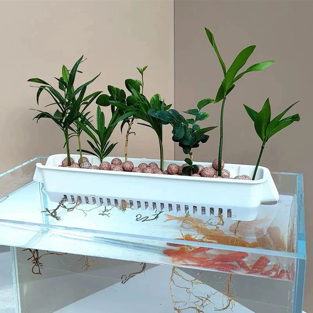 1 PC Aquarium Hydroponic Plant - đánh giá và giá Hanging Planter Basket