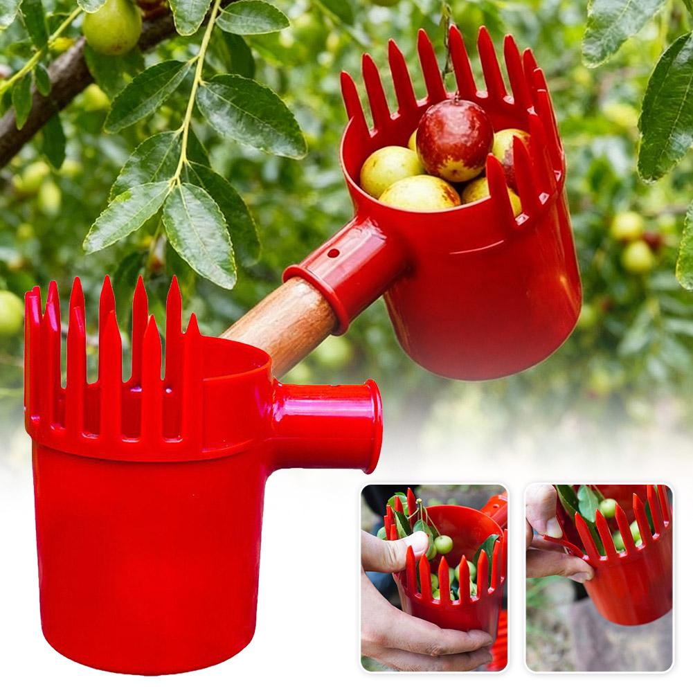 Fruit Picker Tool Portable Bas - đánh giá và giá Gardening Tools Rack