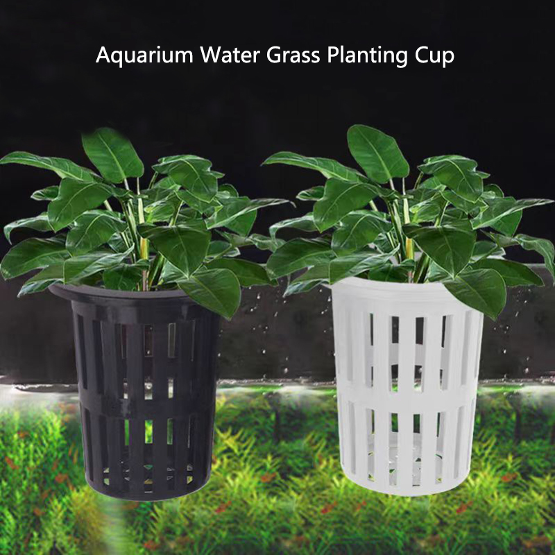 1/3Pcs Aquarium Plant Basket W - đánh giá và giá Hanging Planter Basket