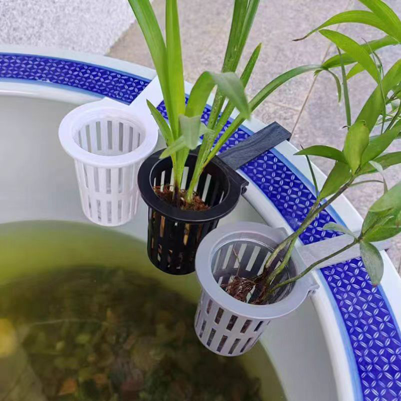 1/3Pcs Aquarium Plant Basket W - đánh giá và giá Hanging Planter Basket