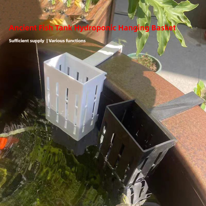 1/3Pcs Aquarium Plant Basket W - đánh giá và giá Hanging Planter Basket