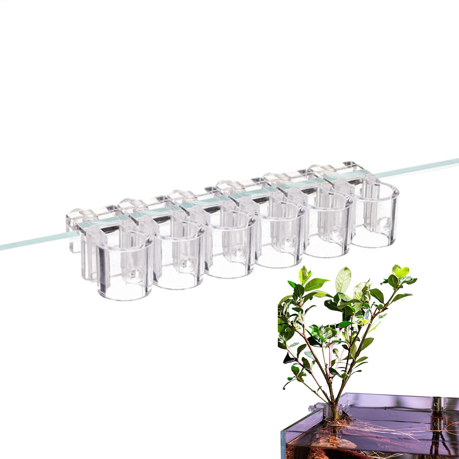 Aquarium Plant Basket Transpar - đánh giá và giá Hanging Planter Basket
