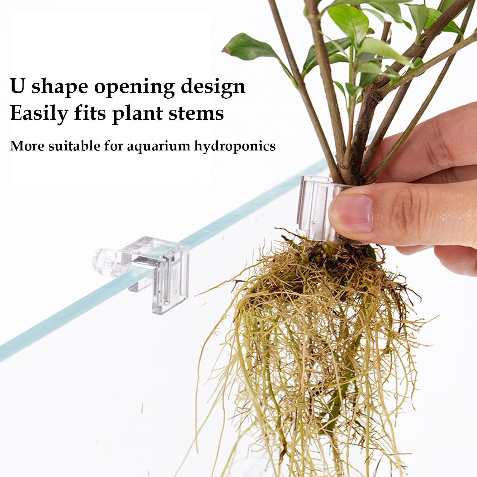 Aquarium Plant Basket Transpar - đánh giá và giá Hanging Planter Basket