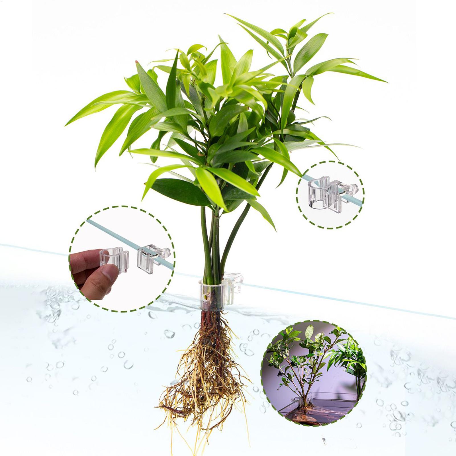 Aquarium Plant Basket Transpar - đánh giá và giá Hanging Planter Basket
