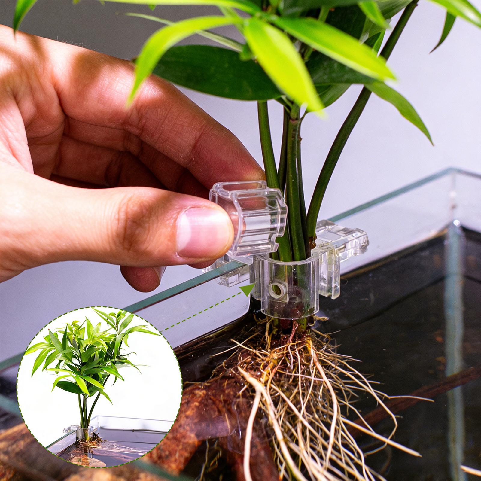 Aquarium Plant Basket Transpar - đánh giá và giá Hanging Planter Basket