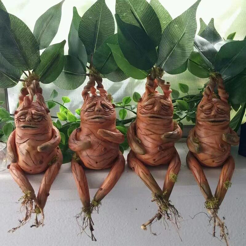 Mandrake Mandrake Resin Orname - đánh giá và giá Gardening Tools Amazon