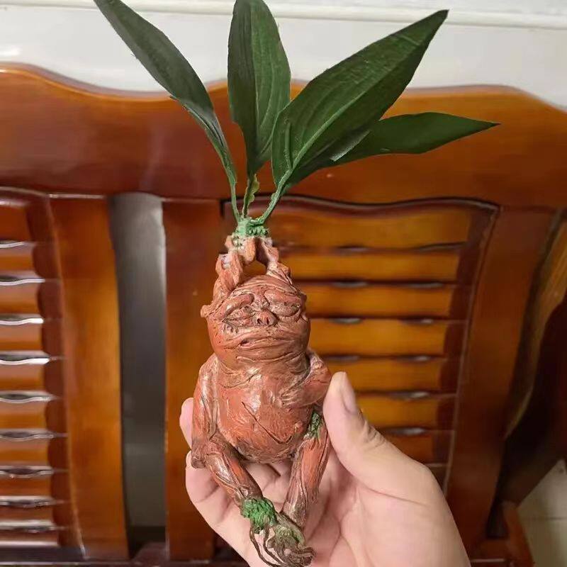Mandrake Mandrake Resin Orname - đánh giá và giá Gardening Tools Amazon