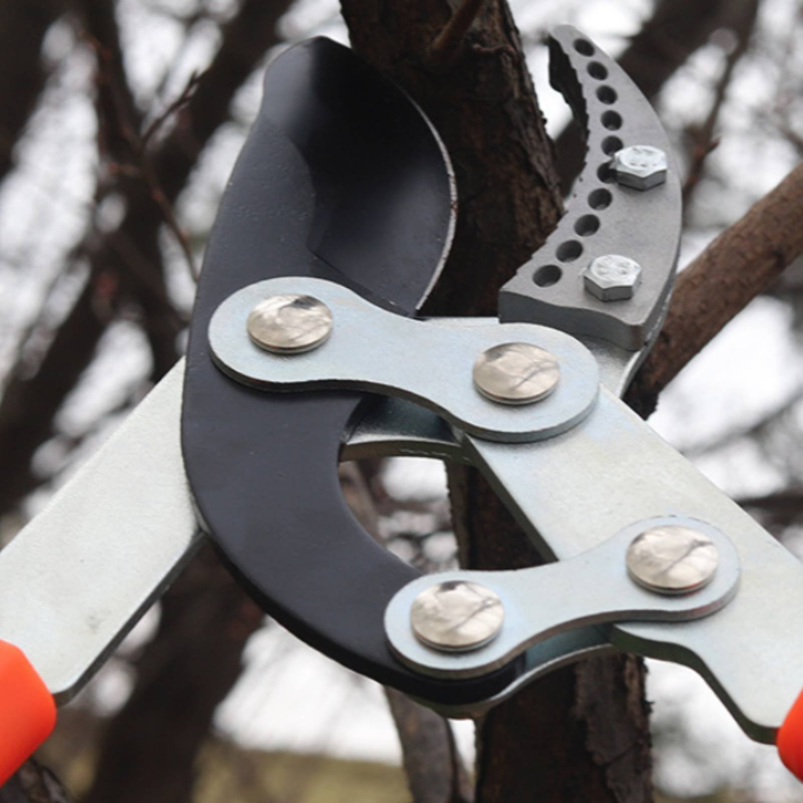 Telescopic Branch Pruners Shar - đánh giá và giá Gardening Tools