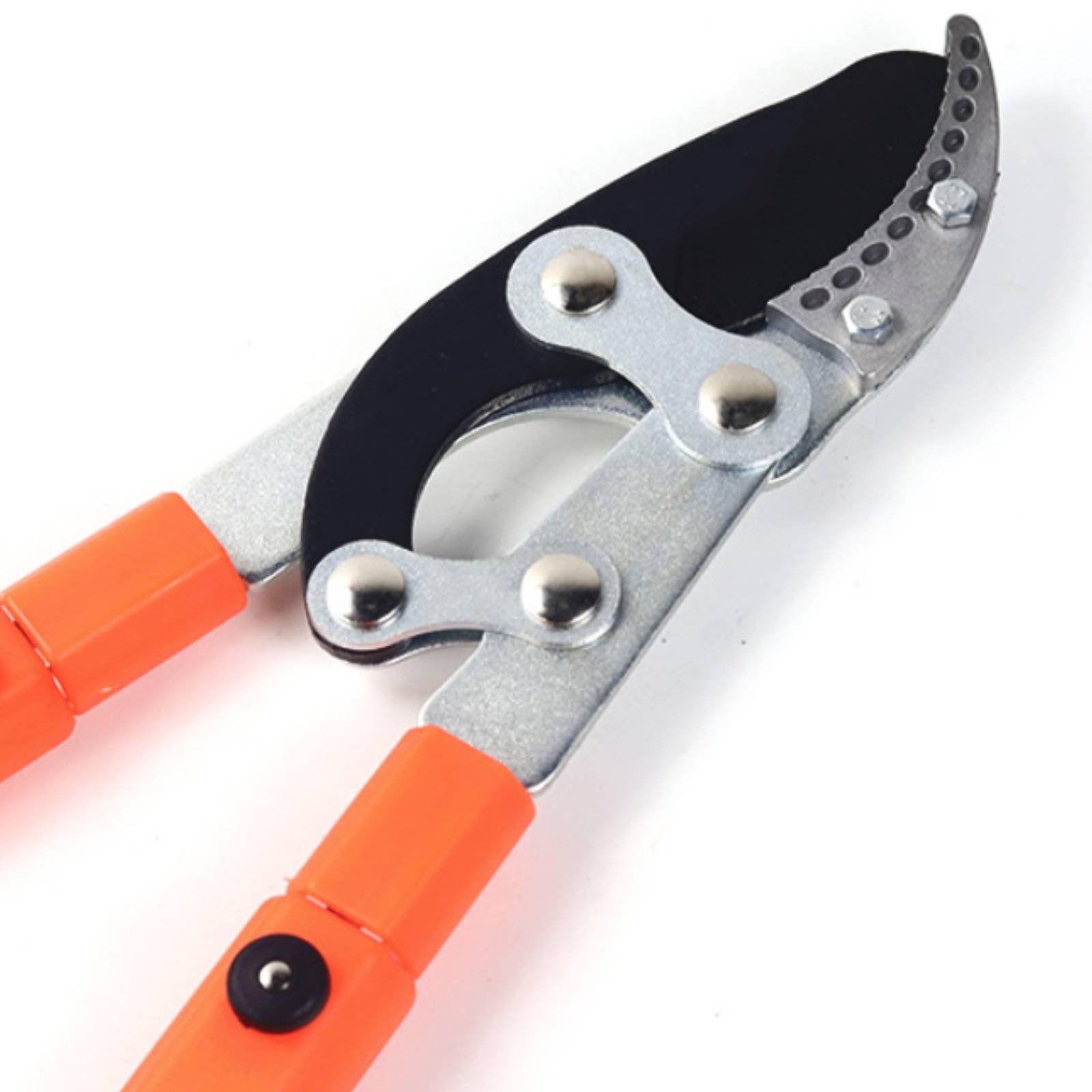Telescopic Branch Pruners Shar - đánh giá và giá Gardening Tools