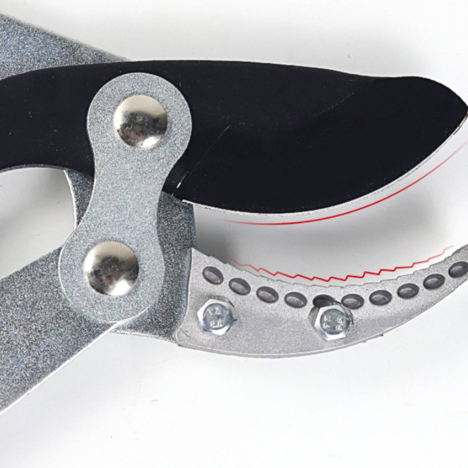 Telescopic Branch Pruners Shar - đánh giá và giá Gardening Tools