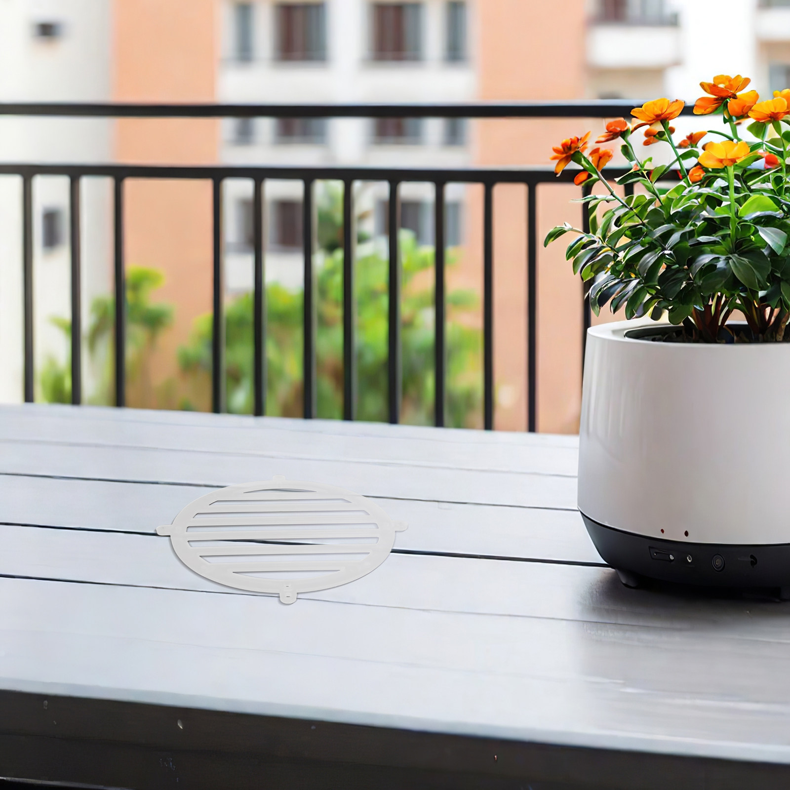 2Pcs Platycerium Fern Mounting - đánh giá và giá Vertical Wall Planter