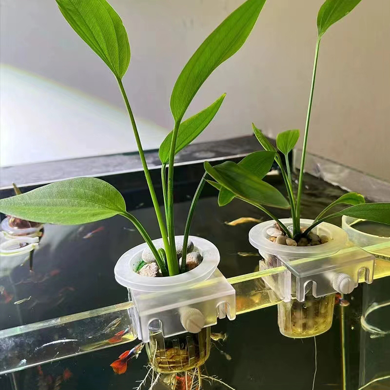 Aquarium Planting Basket Hydro - đánh giá và giá Hanging Planter Basket