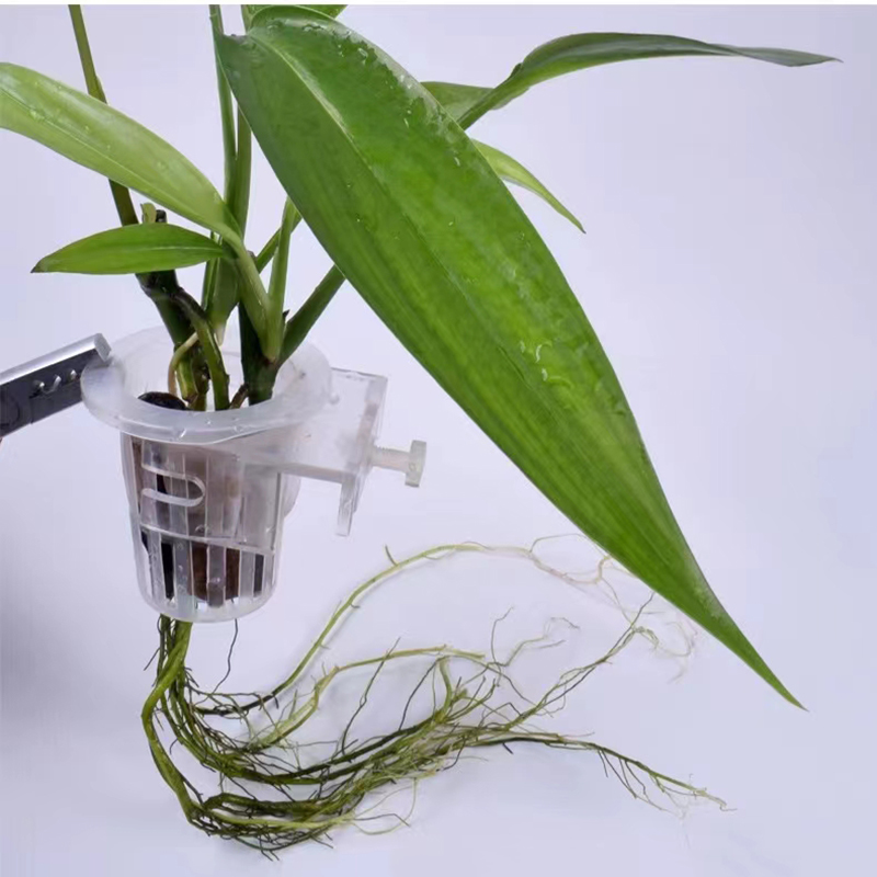 Aquarium Planting Basket Hydro - đánh giá và giá Hanging Planter Basket